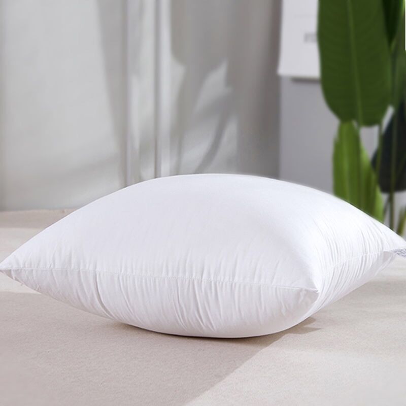 Pillow core